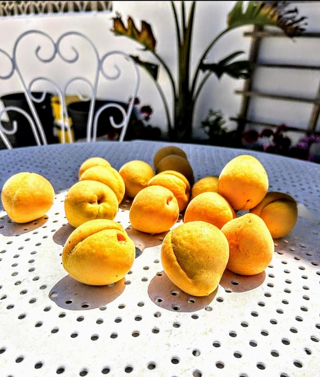 Casa Dei Frutti Di Ostuni Διαμέρισμα Εξωτερικό φωτογραφία